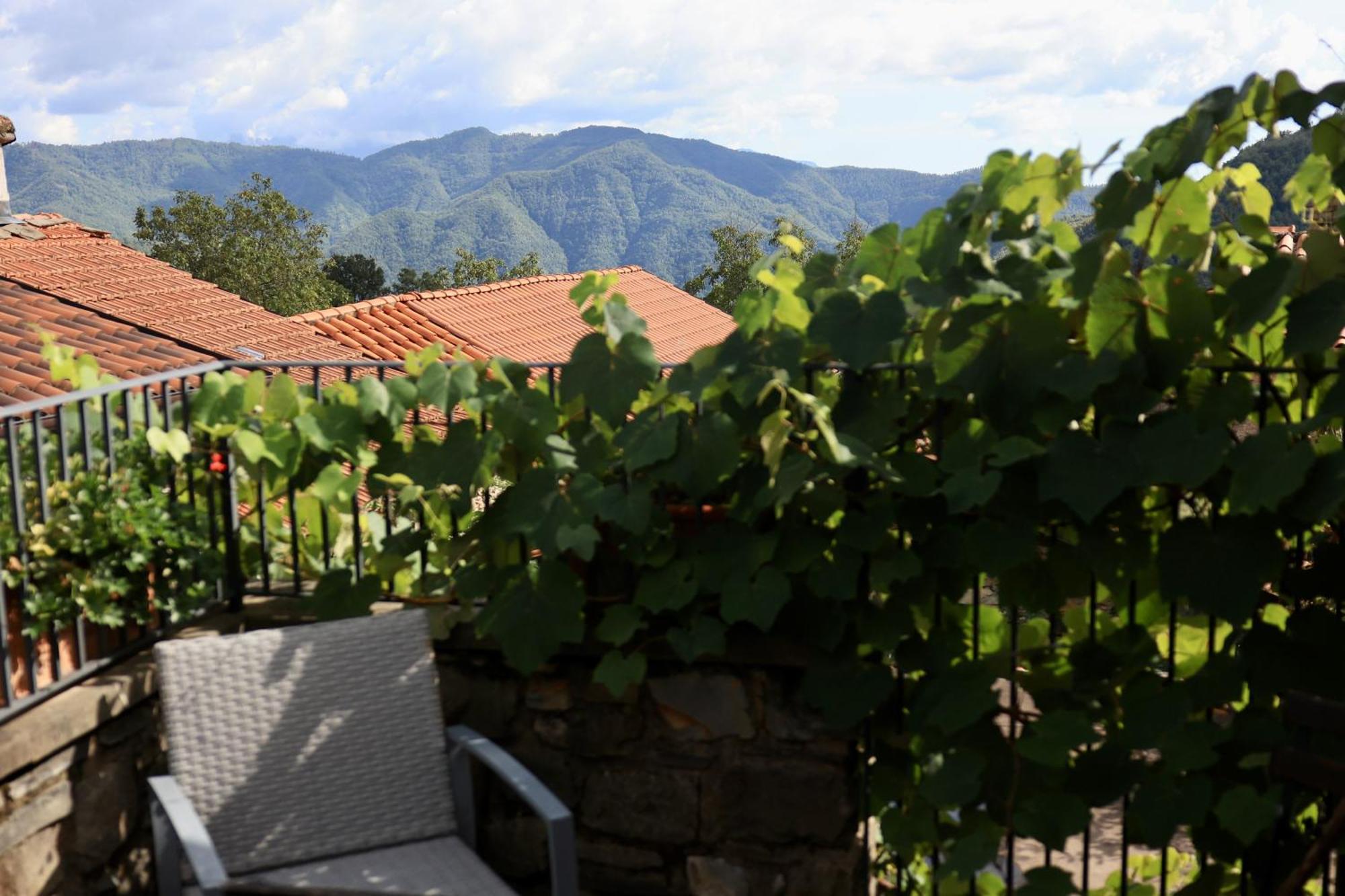 Agriturismo Montagna Verde Apella Licciana Nardi Екстер'єр фото