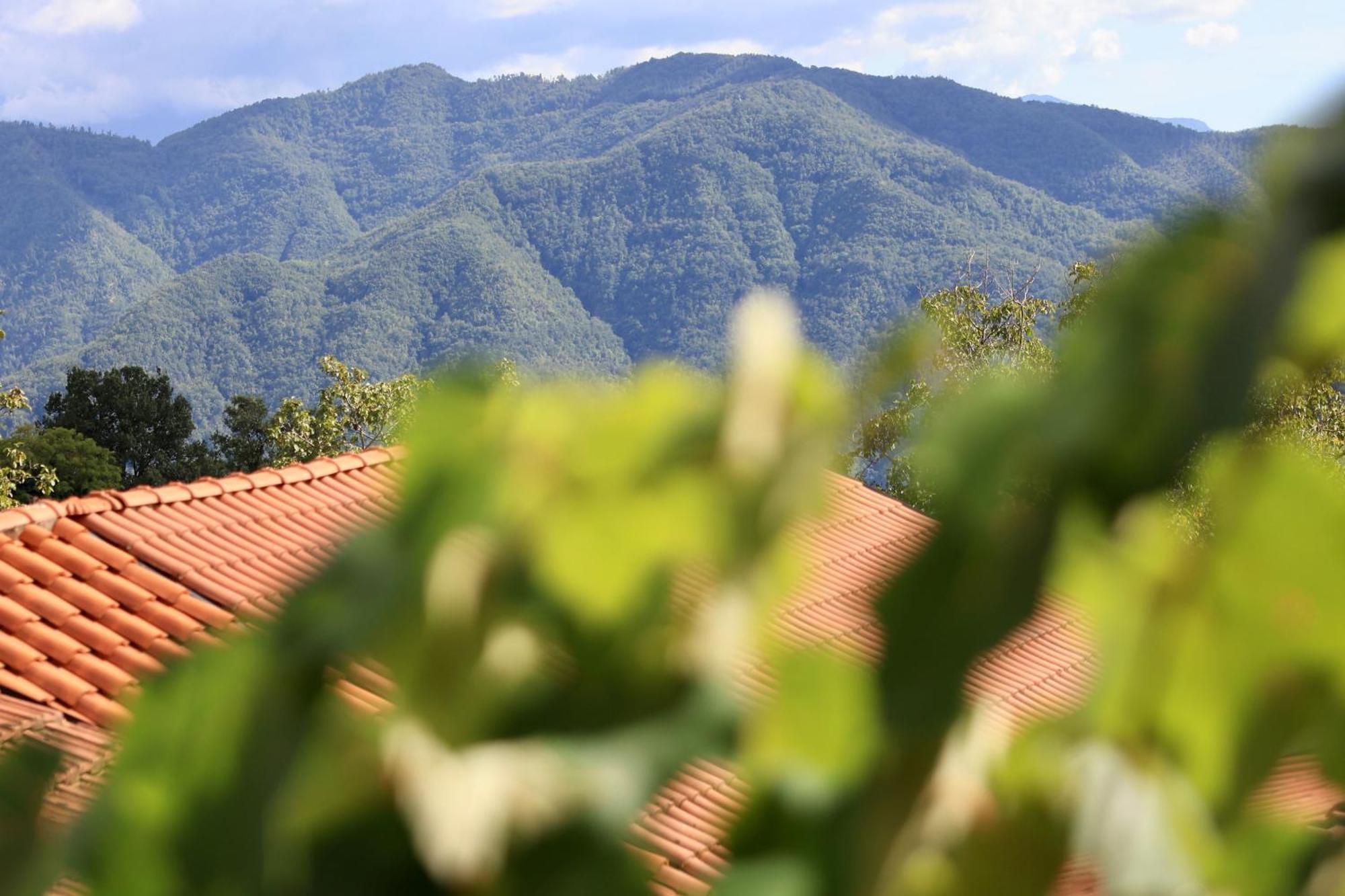 Agriturismo Montagna Verde Apella Licciana Nardi Екстер'єр фото